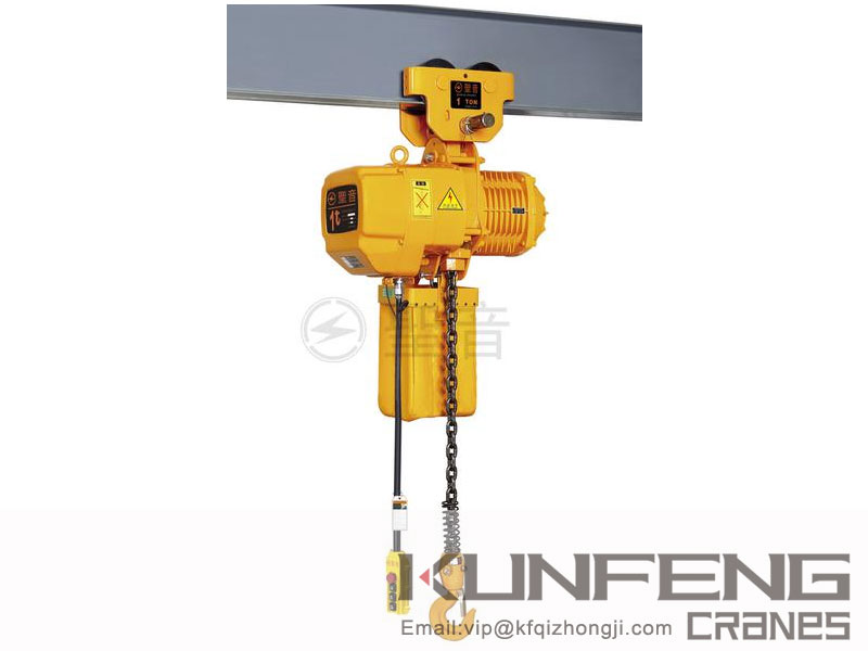 china Electric chain Hoist export