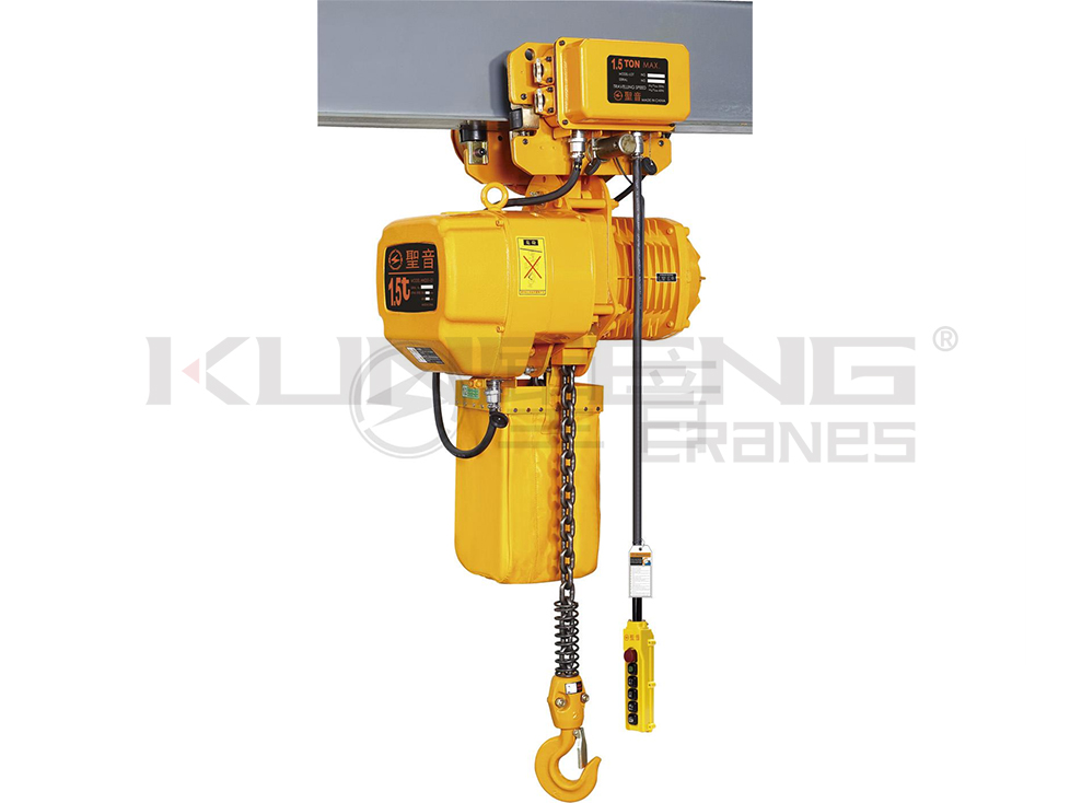 Electric Chain Hoists for Sale