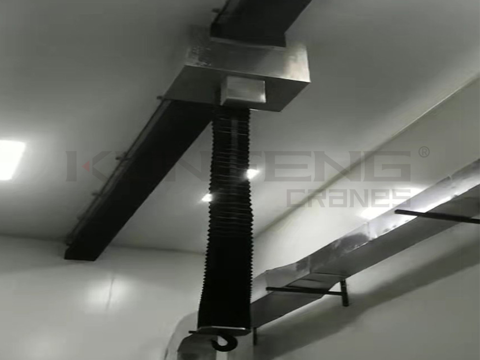 Stainless steel clean room hoist crane Stainless steel clean room hoist crane