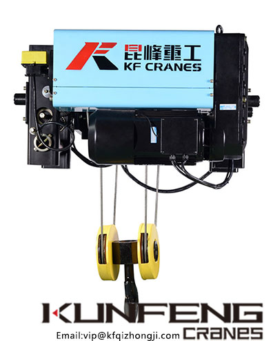 Wire rope electric hoist of Chinese supplier