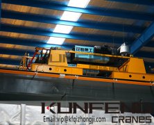 Wire rope electric hoist crane of China lifting manufacturer