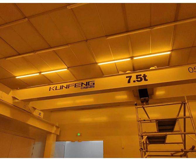 Pharmaceutical Cleanroom Overhead Crane for Tekni-Plex | KUNFENG CRANES