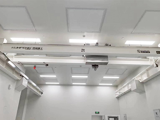 Clean Room Overhead Crane for Optics Institute