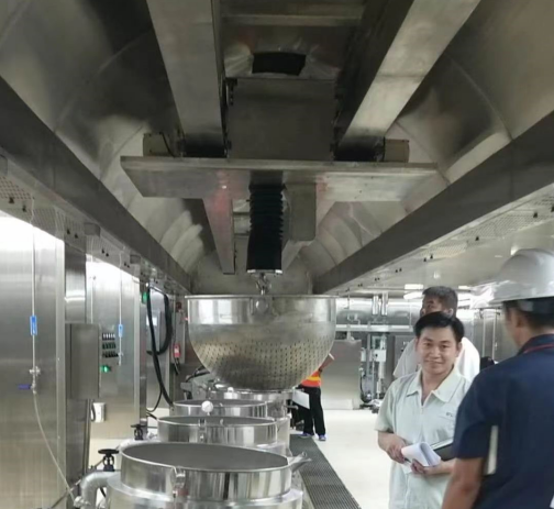 Stainless steel overhead crane for food industry